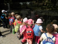 /album/fotogalerie-uvod/p6170641-jpg1/