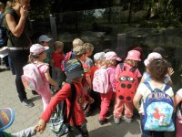 /album/fotogalerie-uvod/p6170642-jpg1/